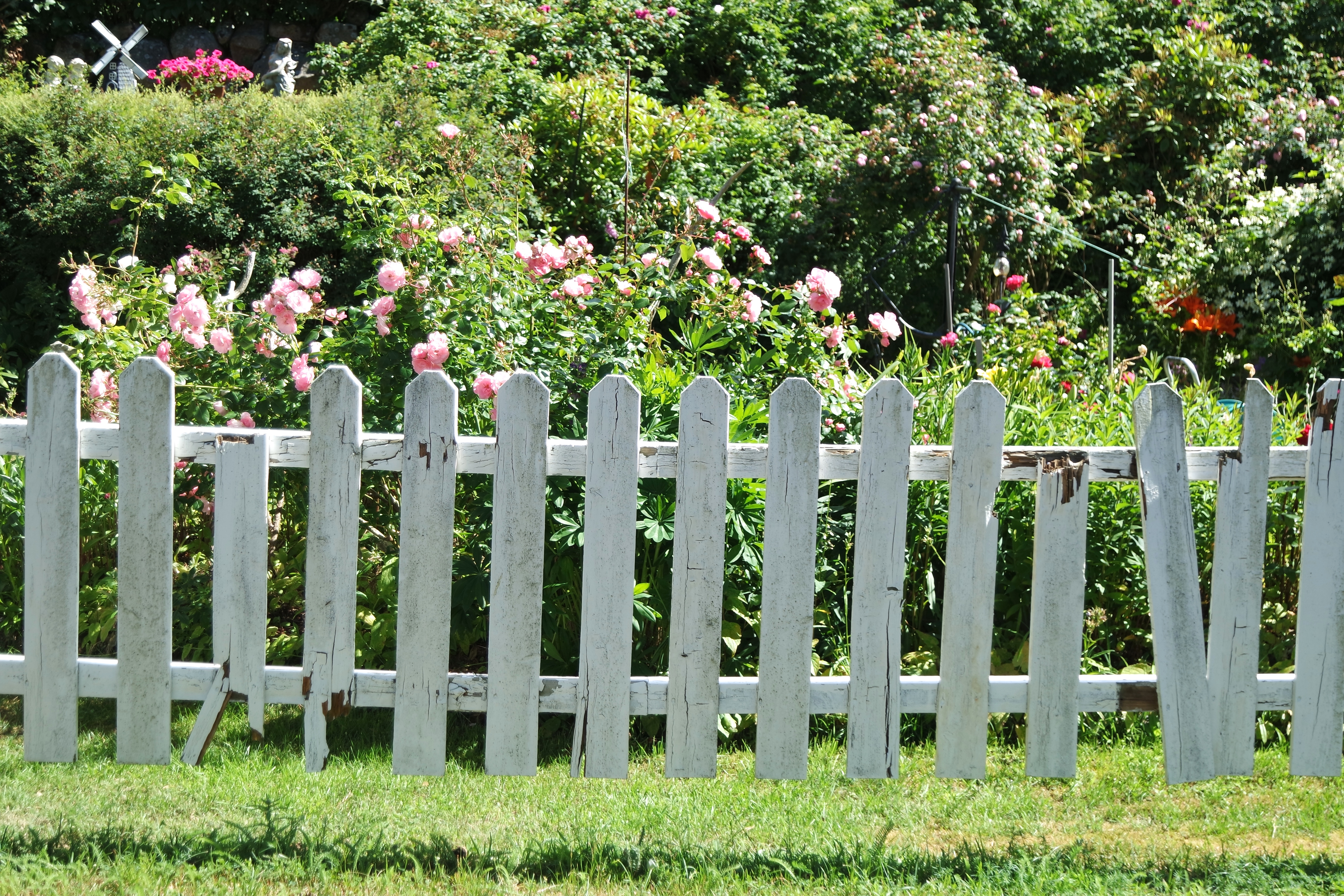 SAMSUNG CAMERA PICTURES