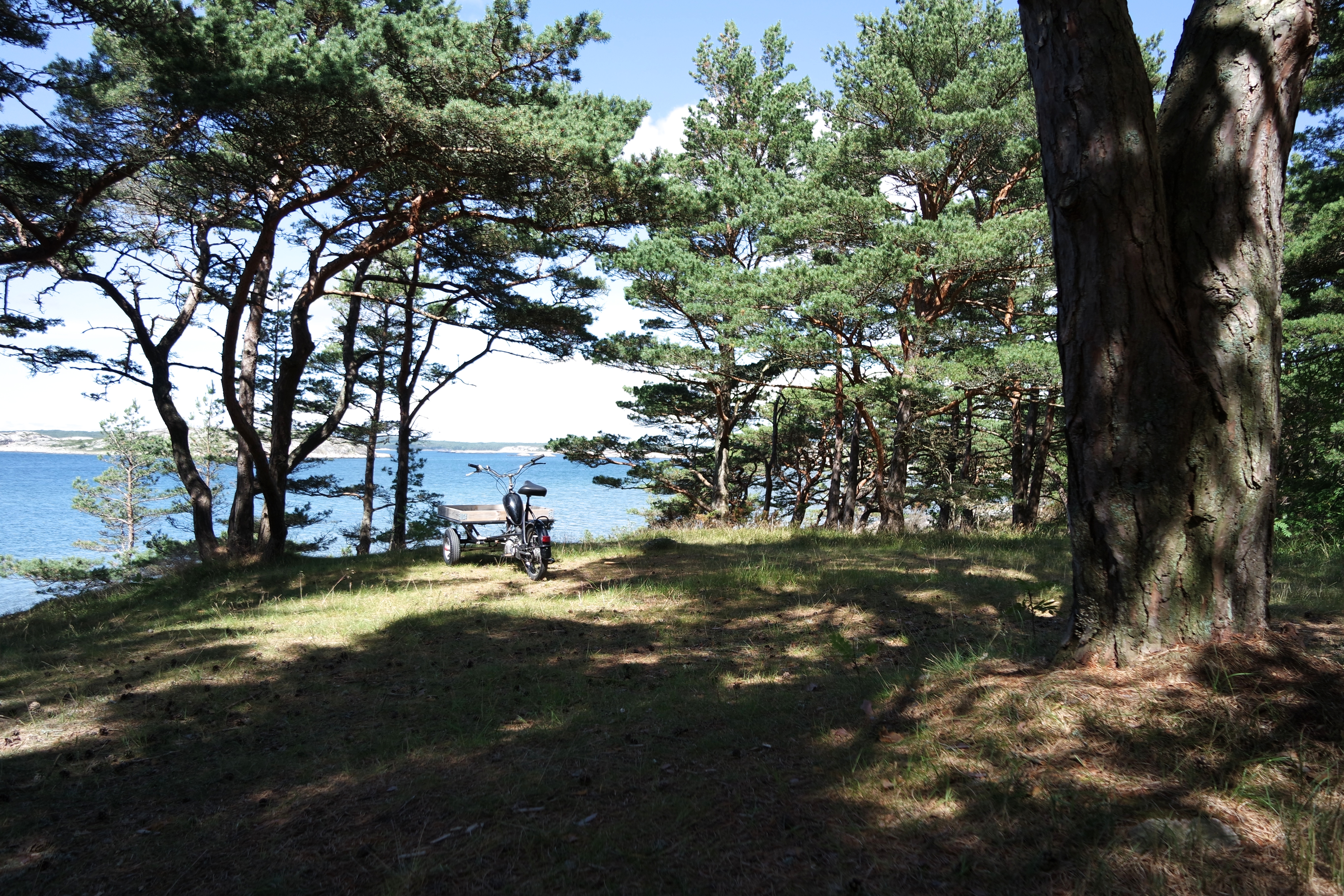 SAMSUNG CAMERA PICTURES