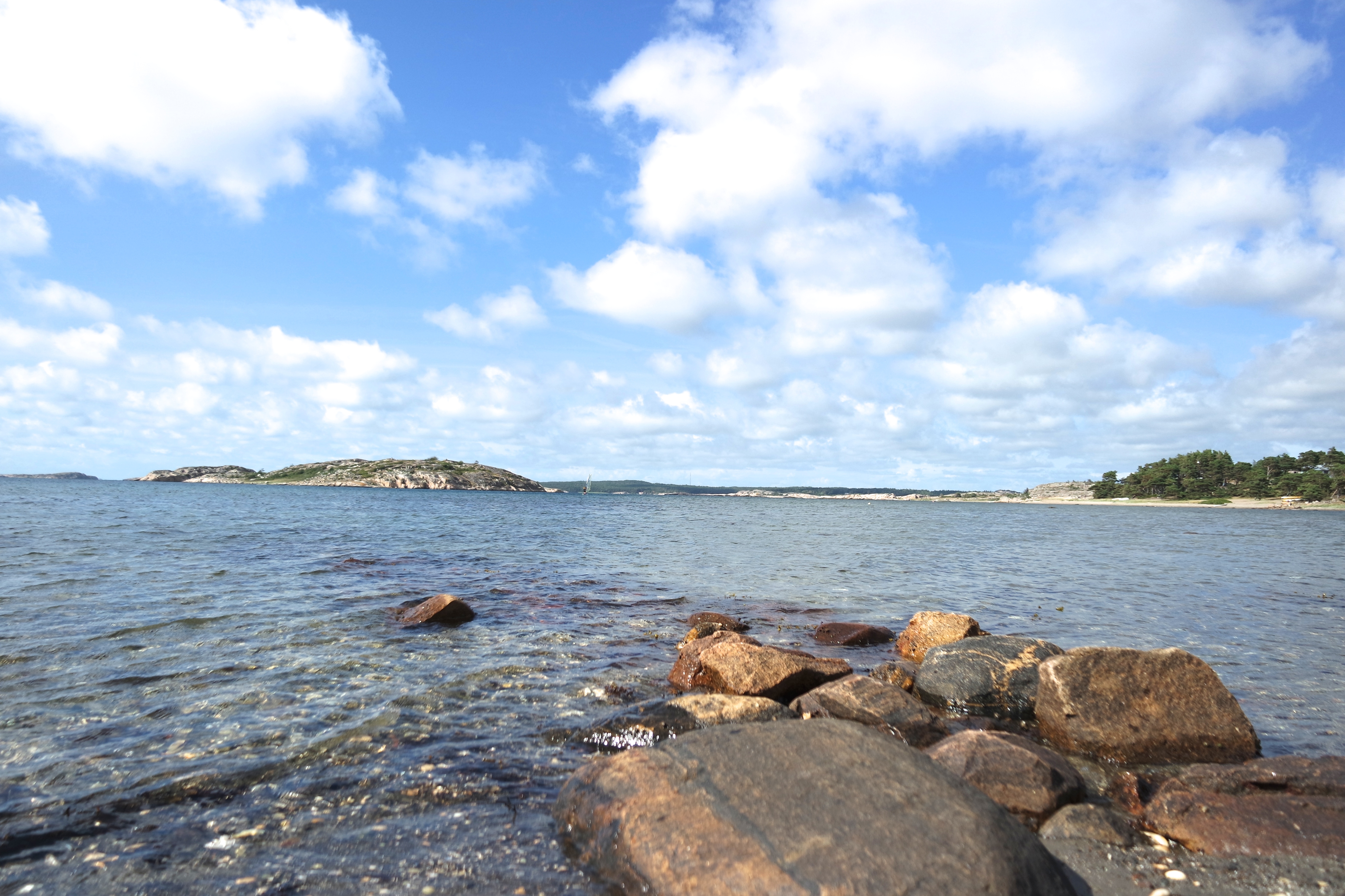 SAMSUNG CAMERA PICTURES