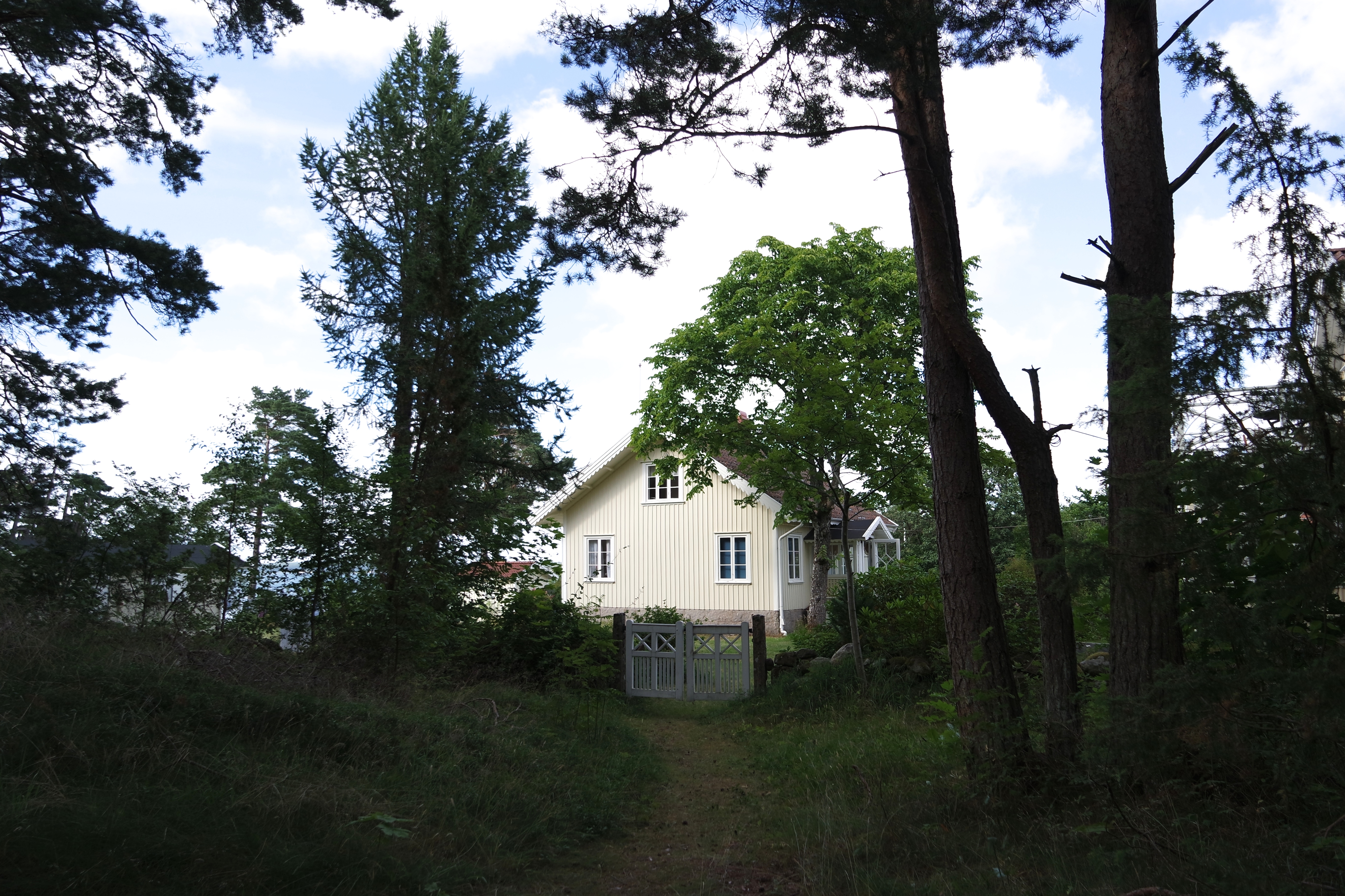 SAMSUNG CAMERA PICTURES