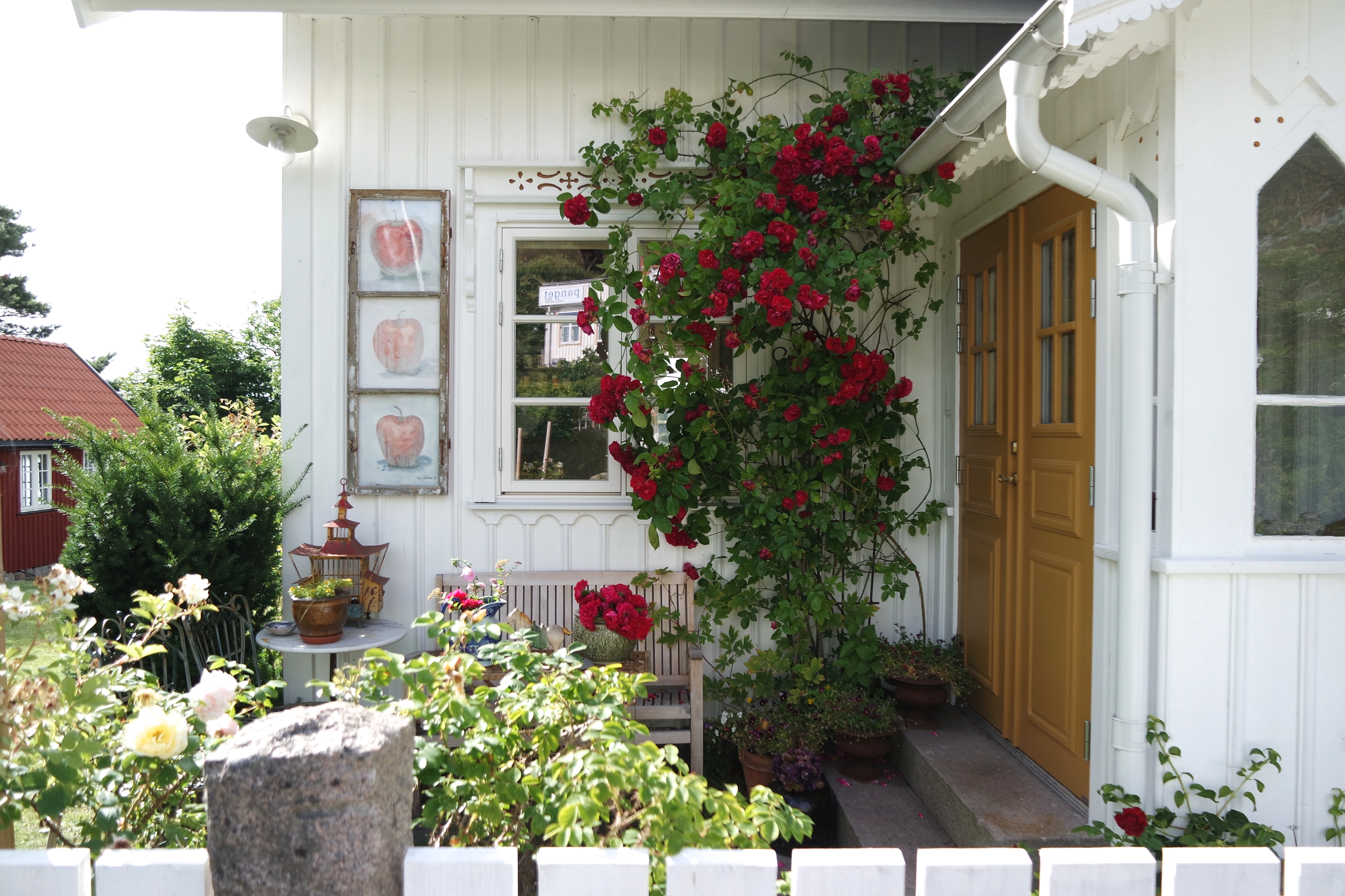 SAMSUNG CAMERA PICTURES