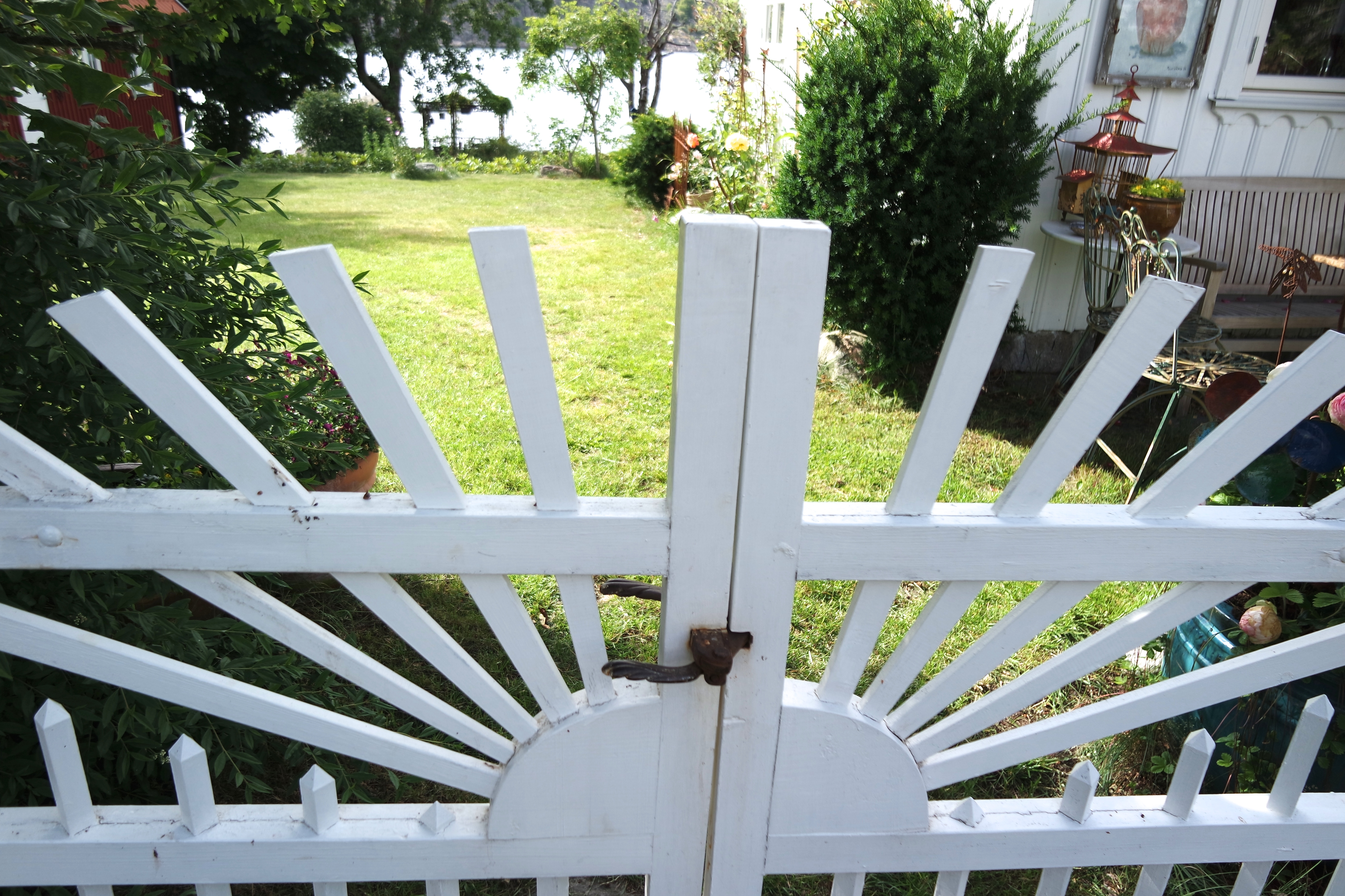 SAMSUNG CAMERA PICTURES