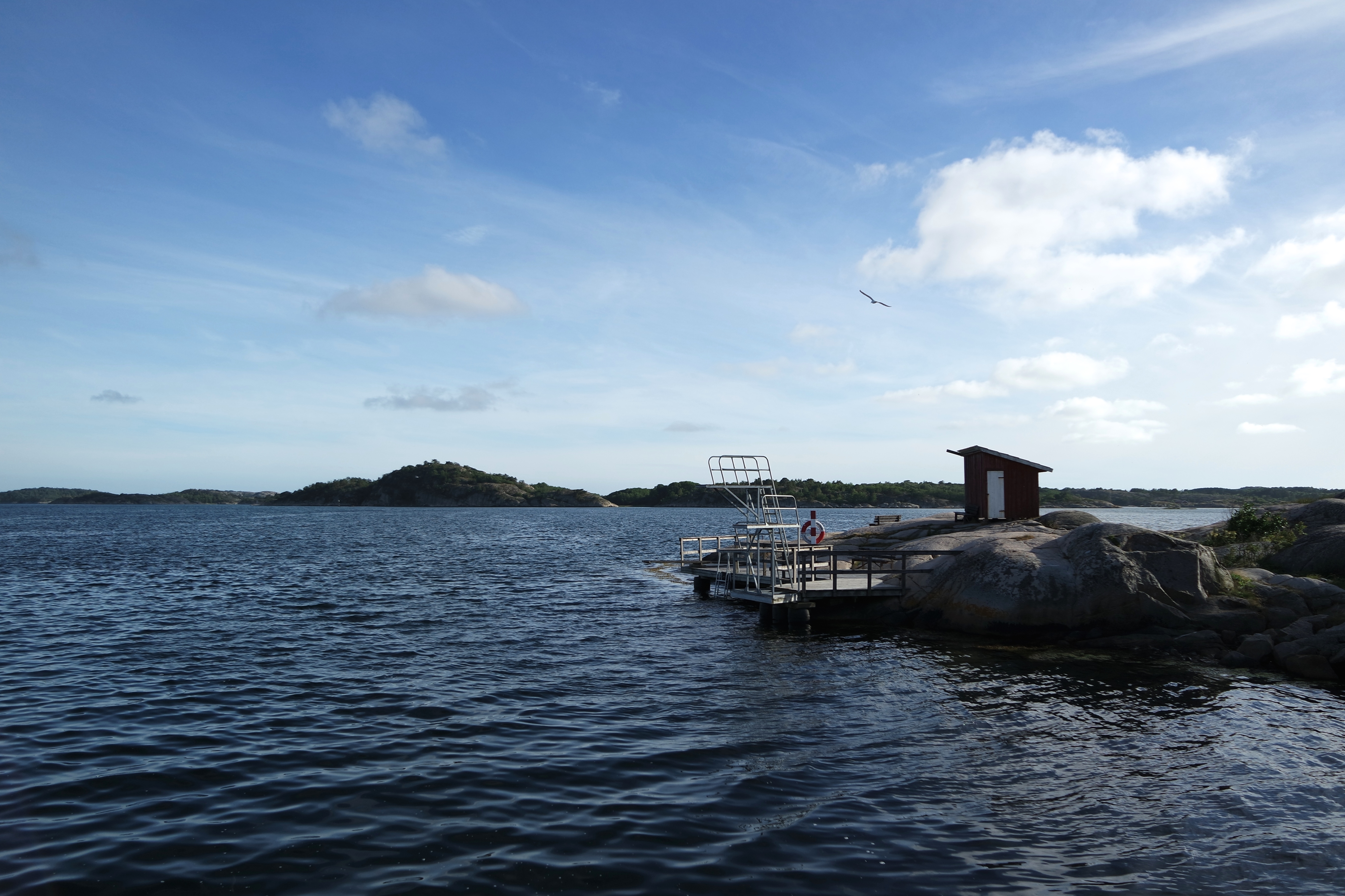 SAMSUNG CAMERA PICTURES