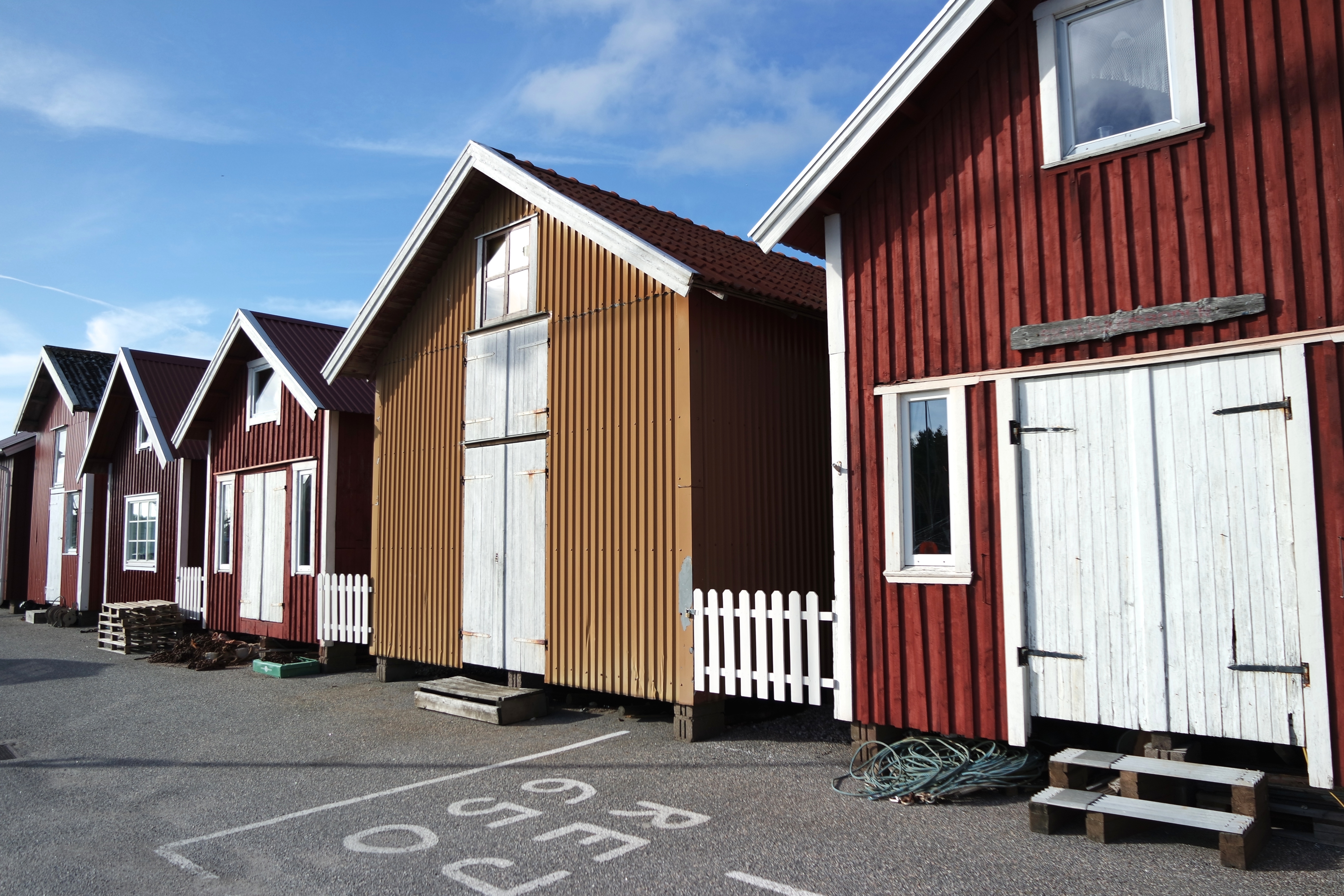 SAMSUNG CAMERA PICTURES