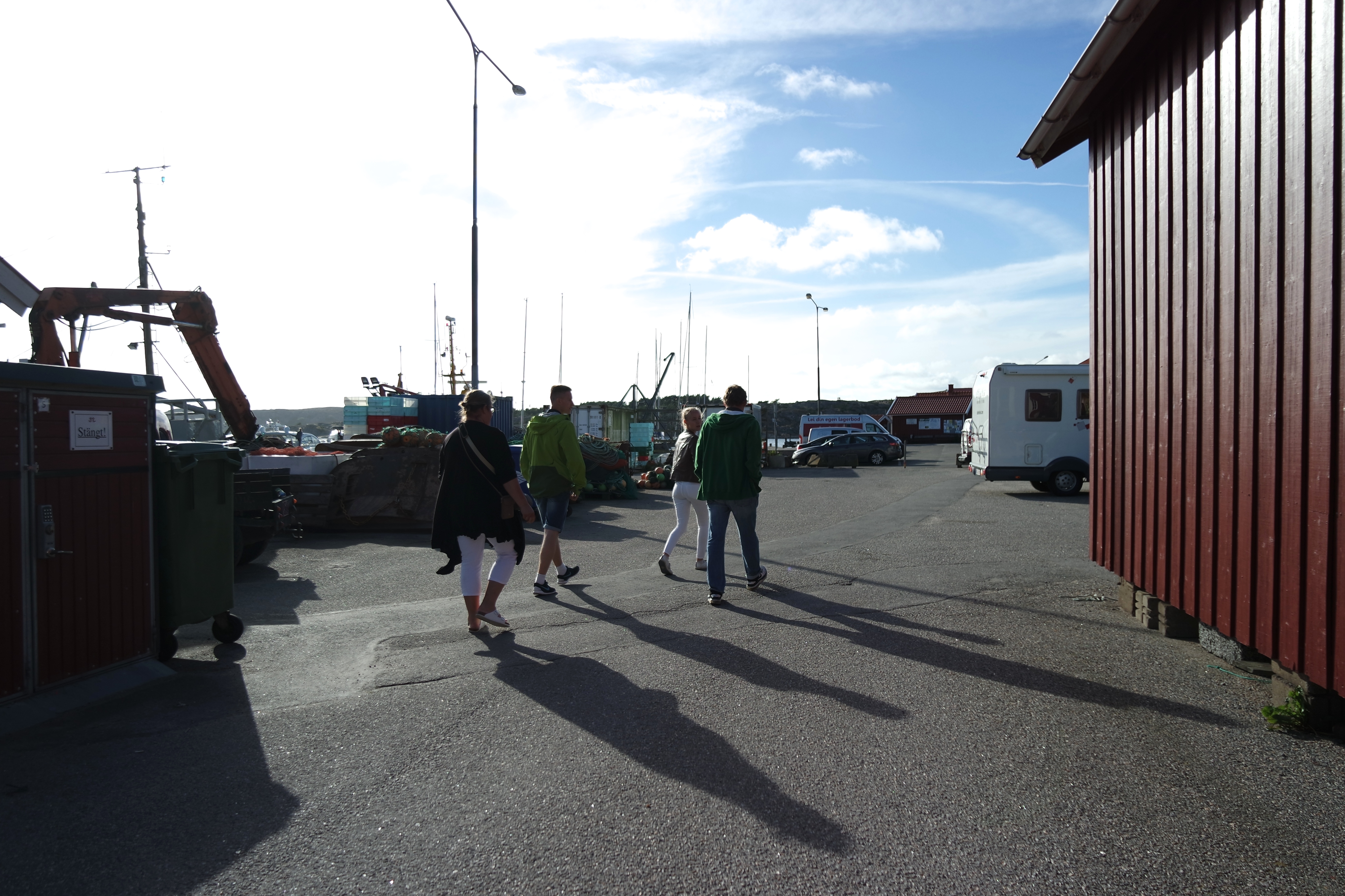 SAMSUNG CAMERA PICTURES