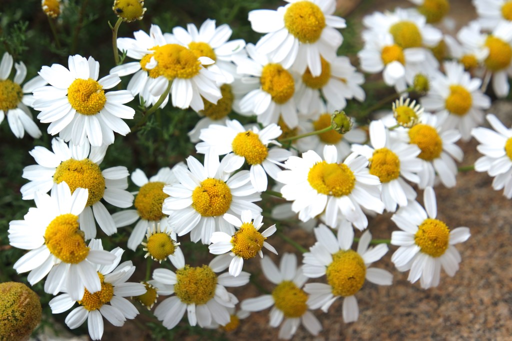 Half way through the&nbsp;year