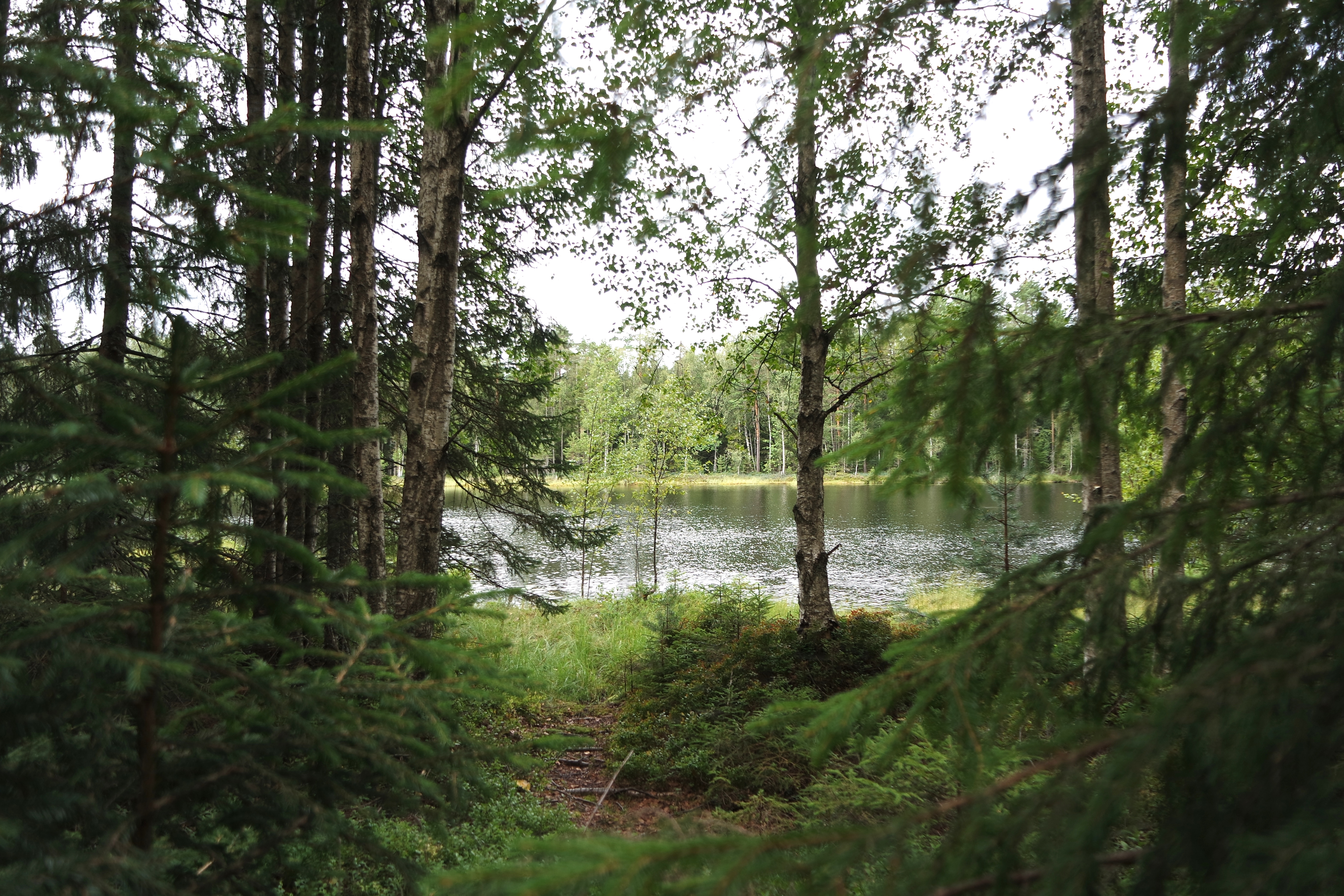 SAMSUNG CAMERA PICTURES