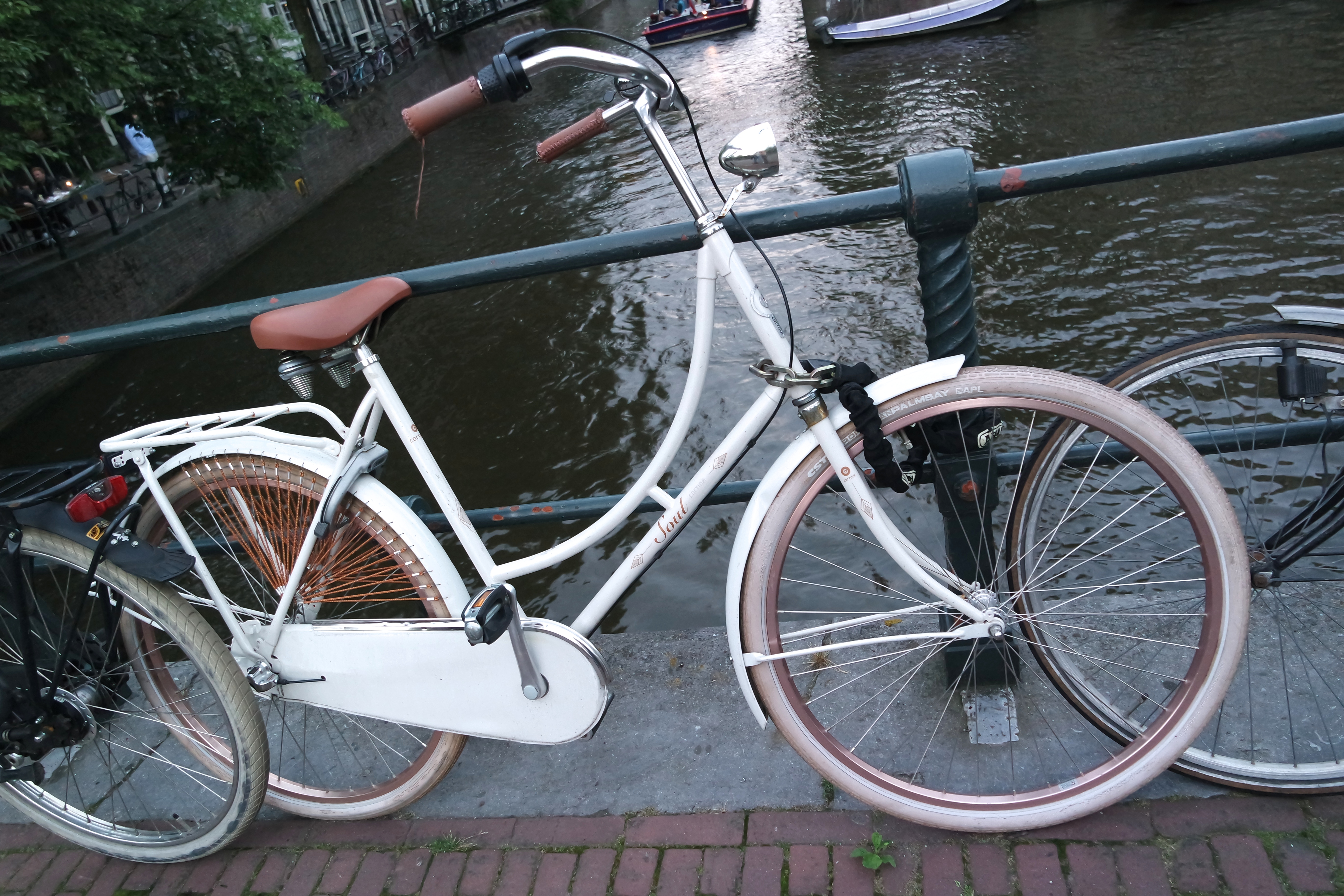 SAMSUNG CAMERA PICTURES