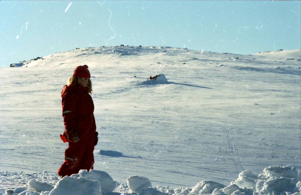 What a year /&nbsp;2016