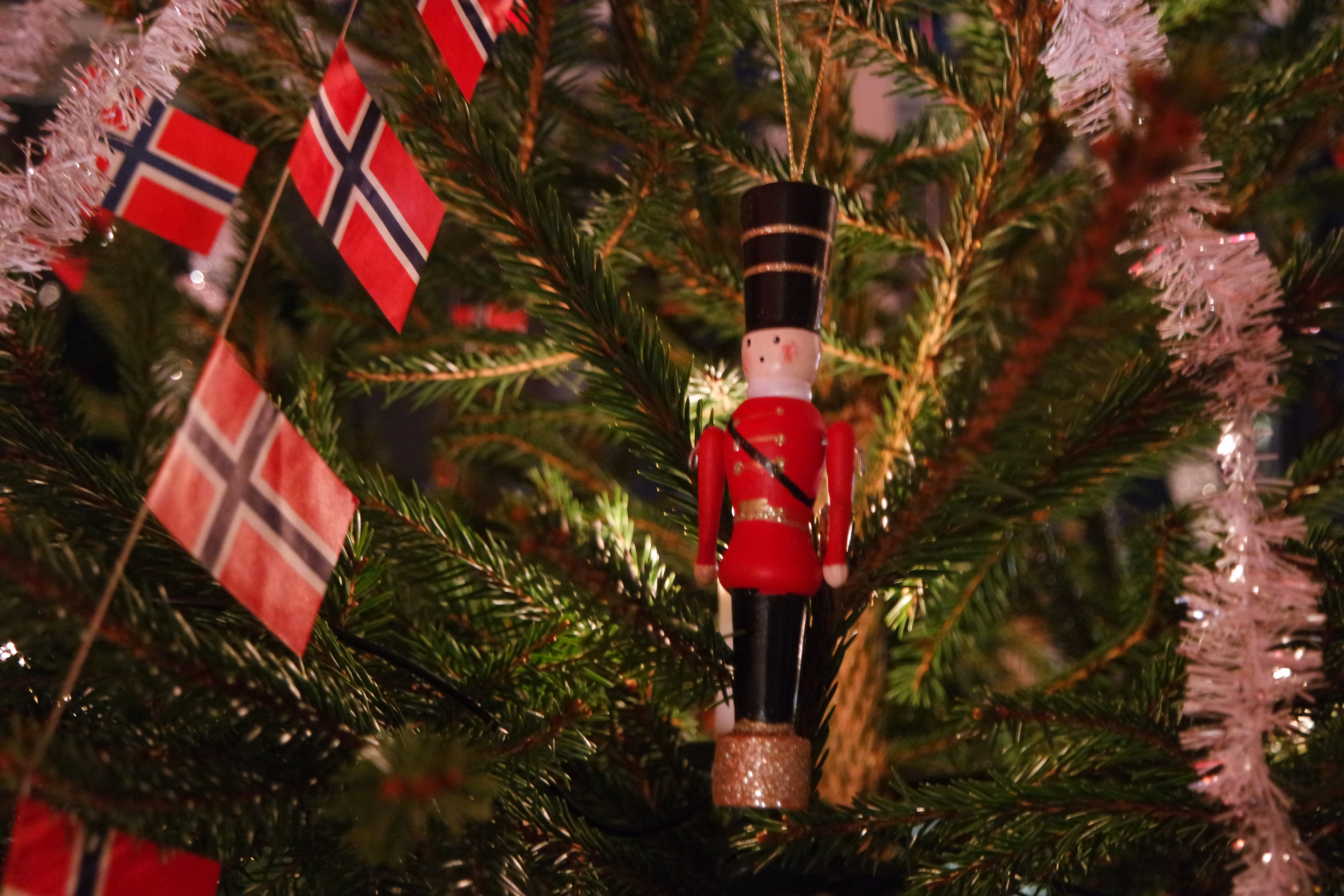 SAMSUNG CAMERA PICTURES