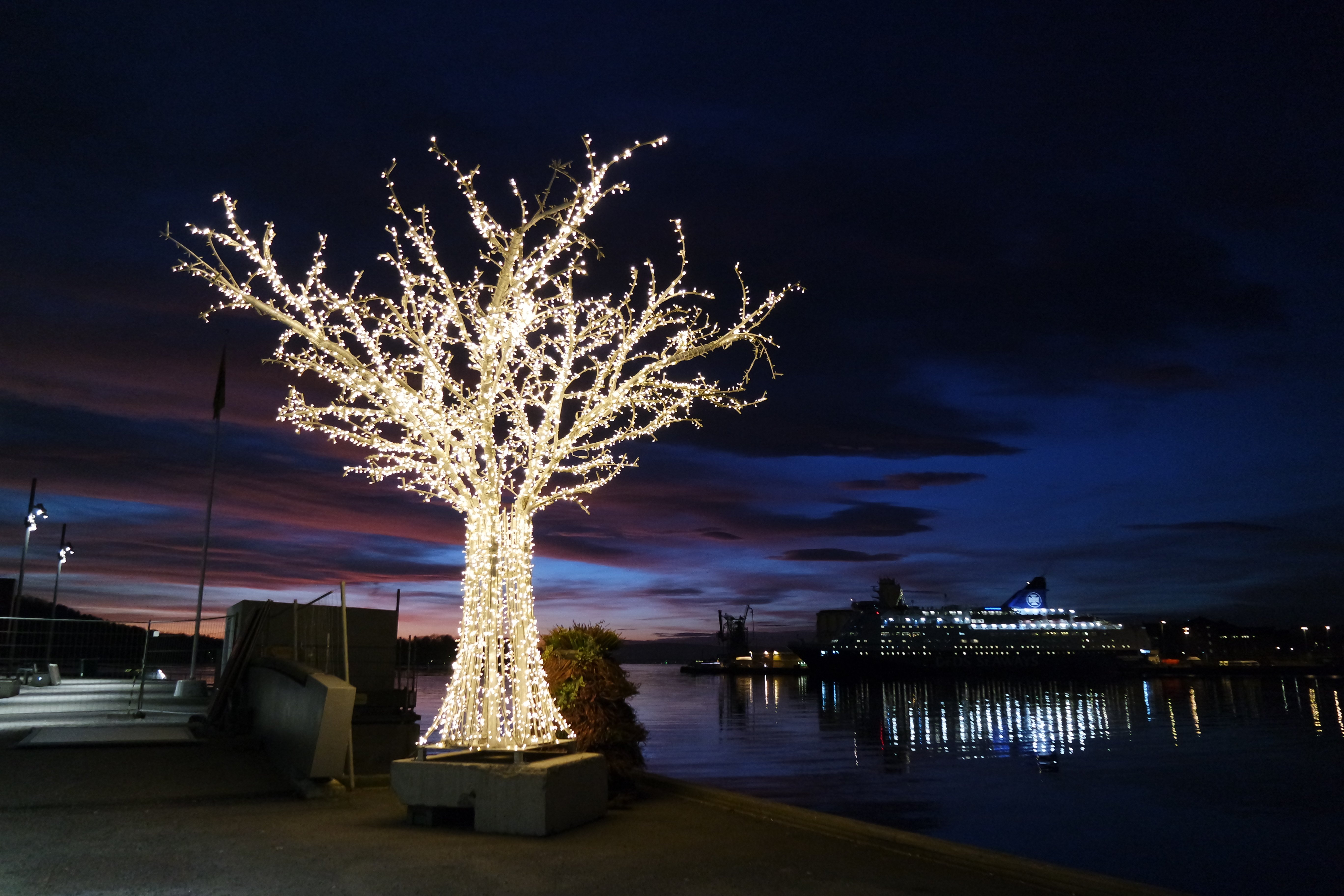 SAMSUNG CAMERA PICTURES