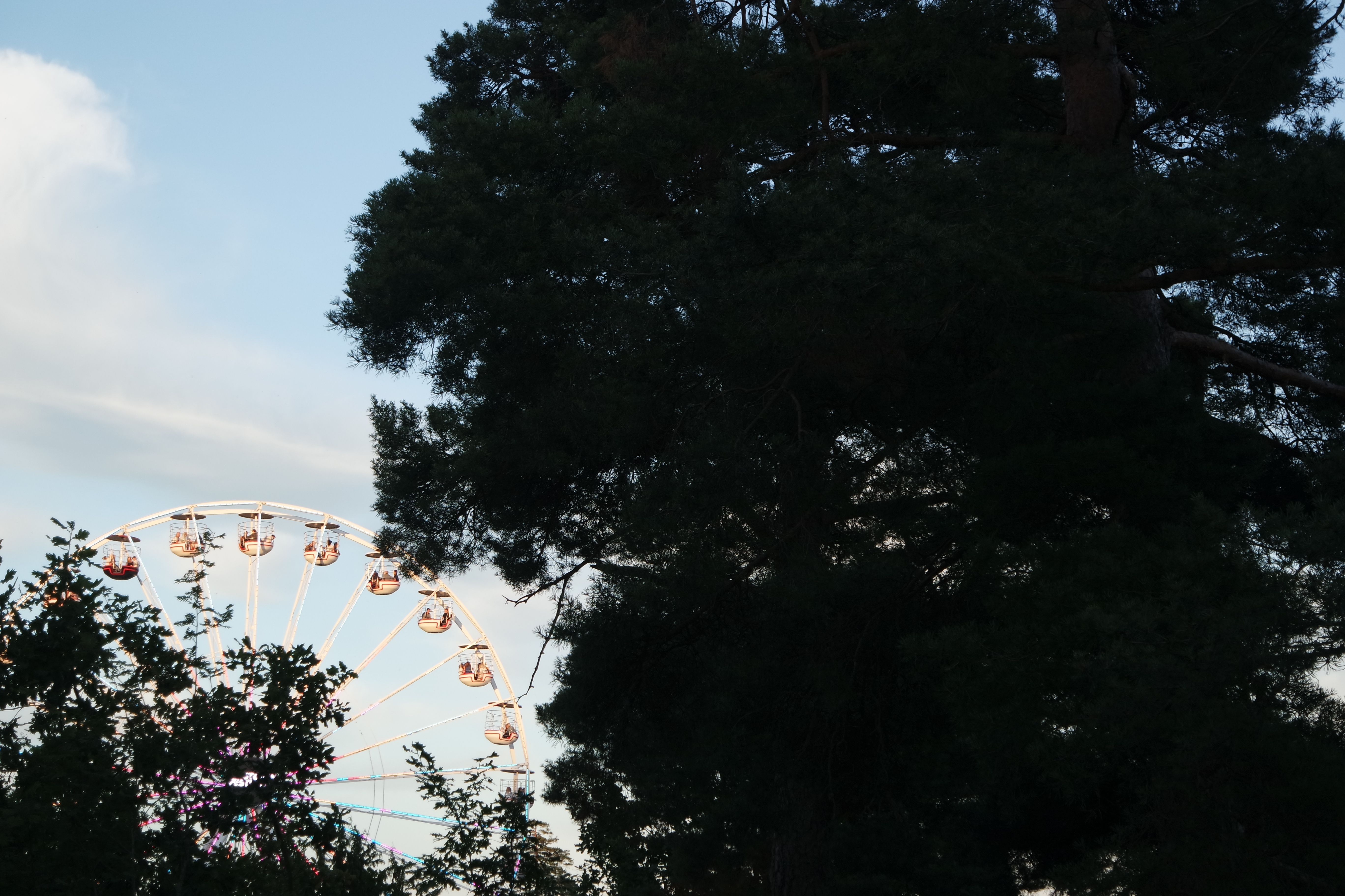 SAMSUNG CAMERA PICTURES