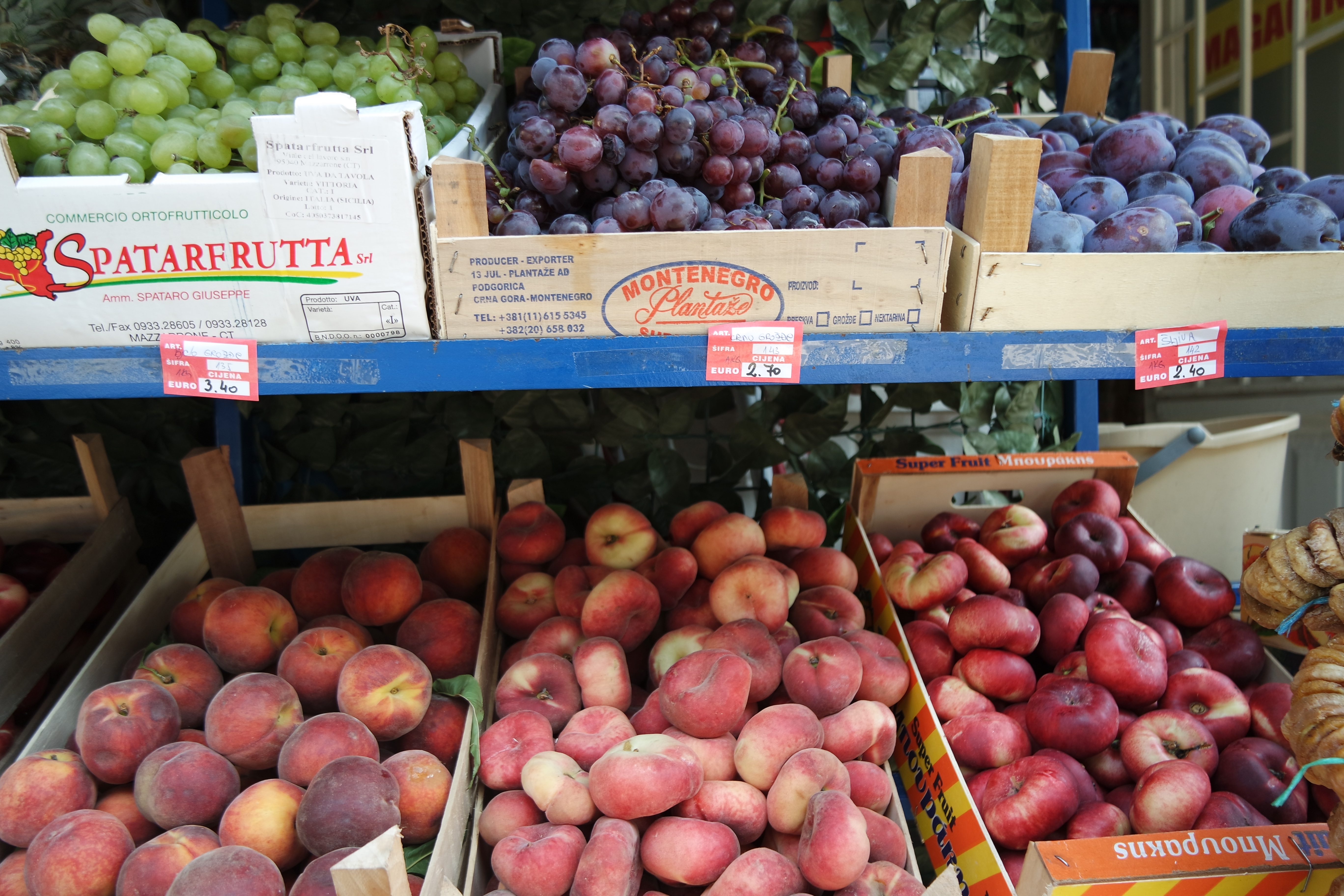 SAMSUNG CAMERA PICTURES