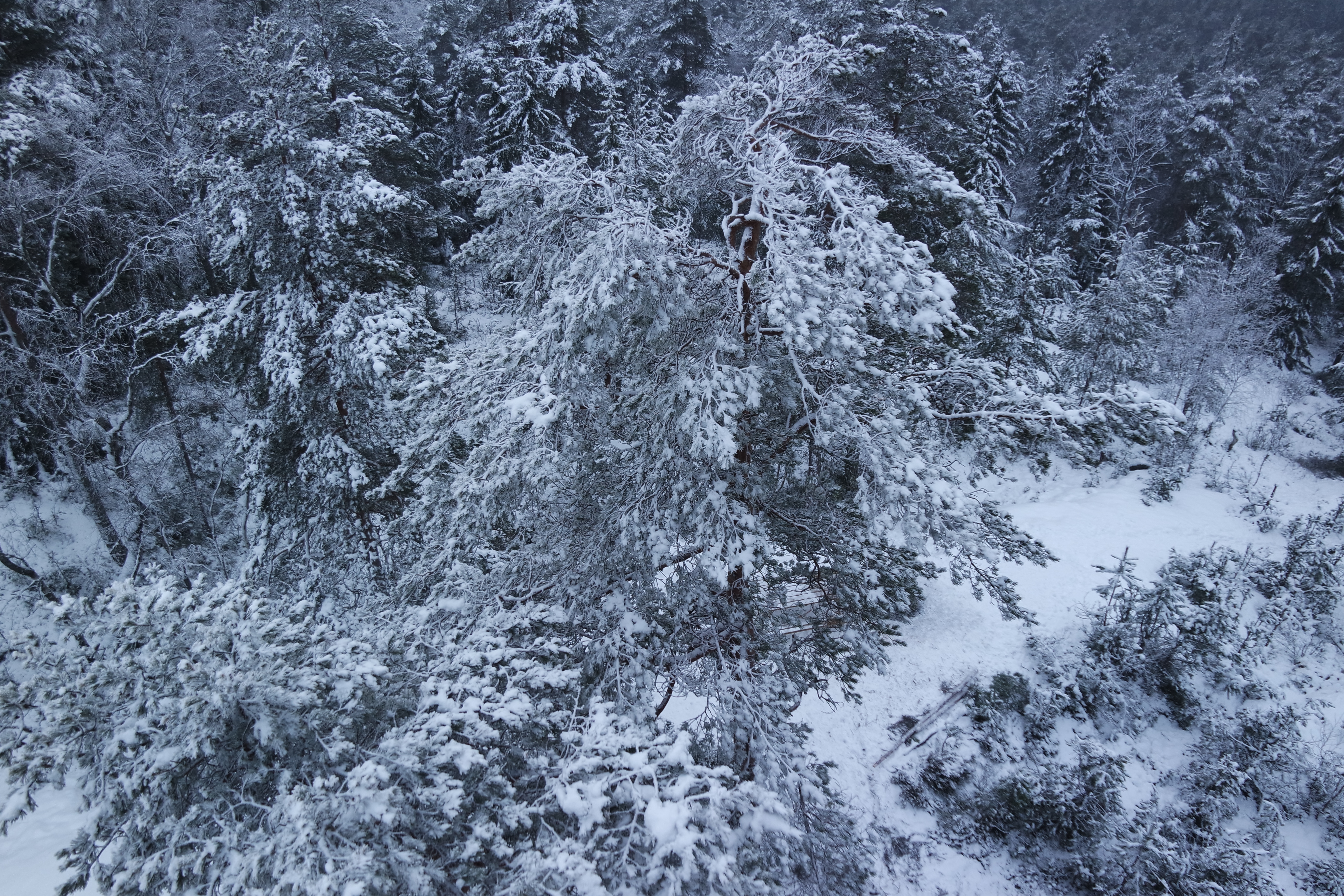 SAMSUNG CAMERA PICTURES