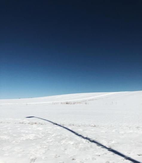 29748216_1696958313684491_453015383_o