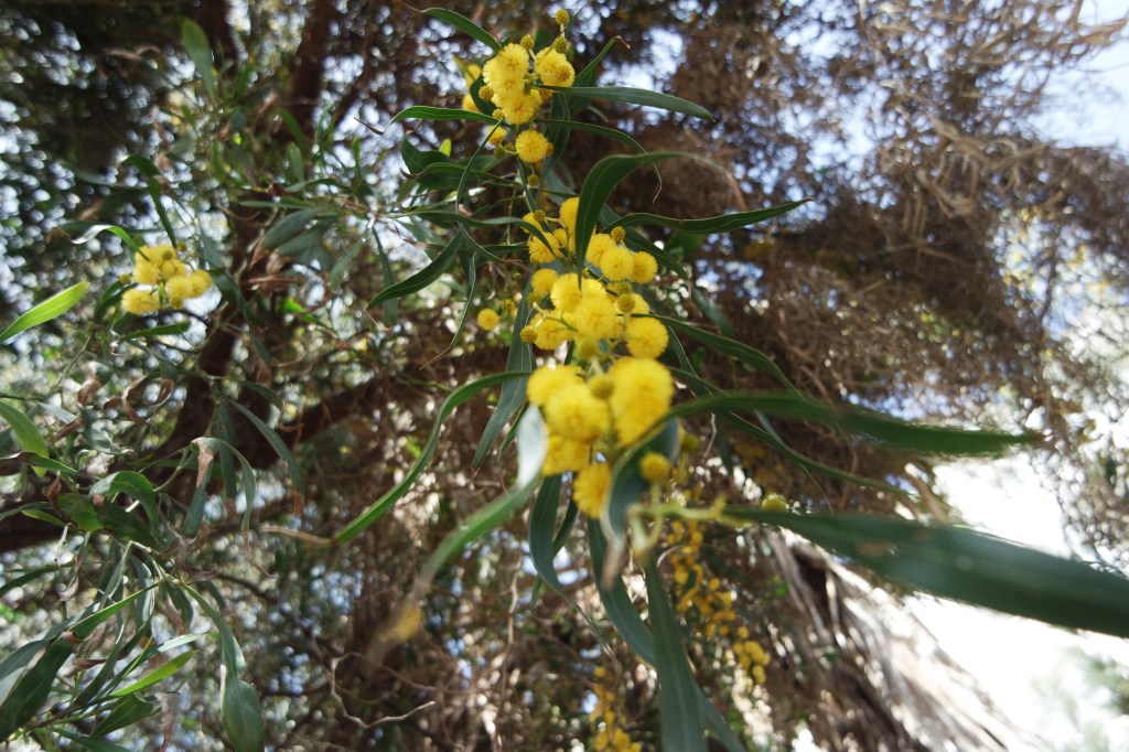 A little girl&nbsp;dancing