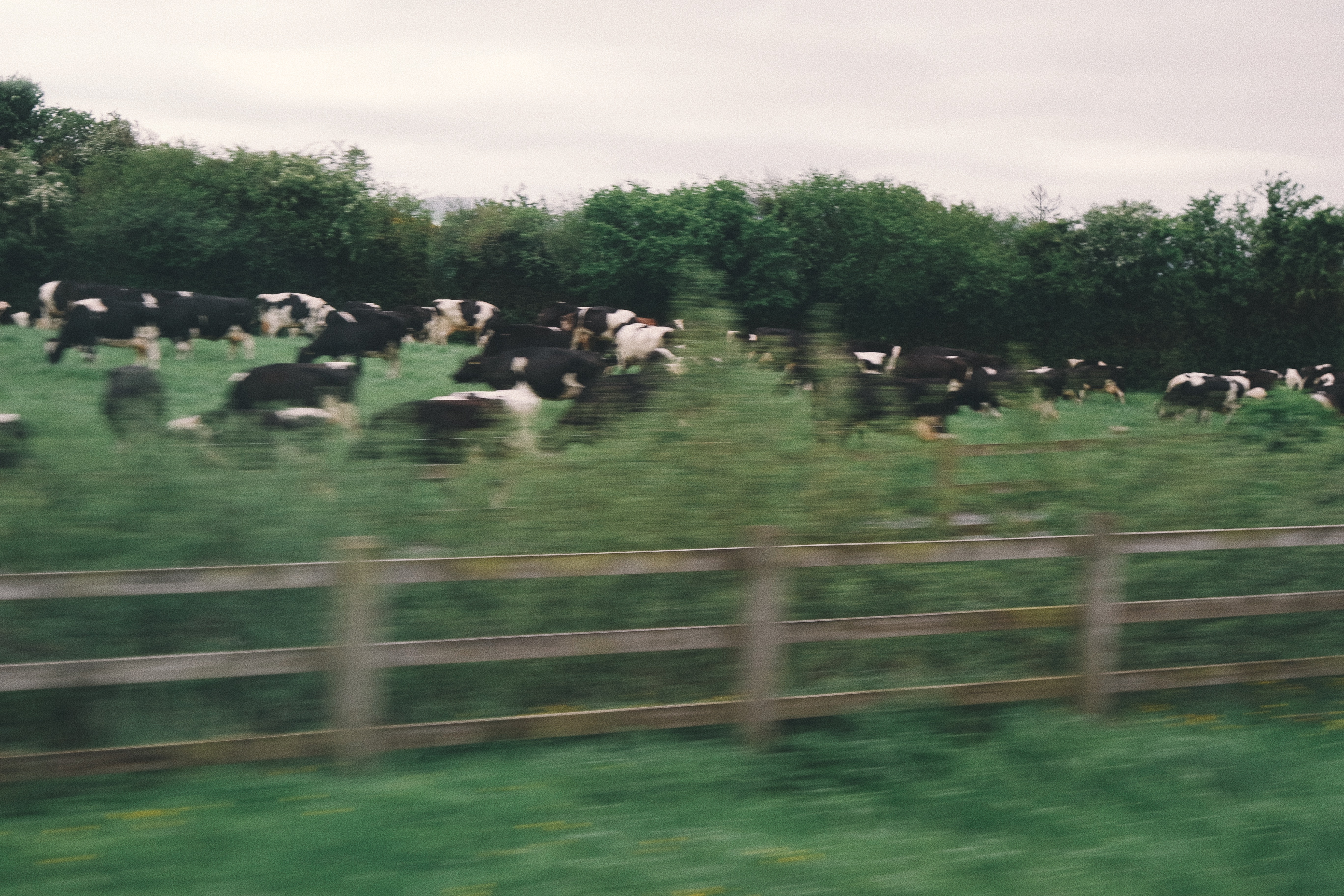 Processed with VSCO with e5 preset