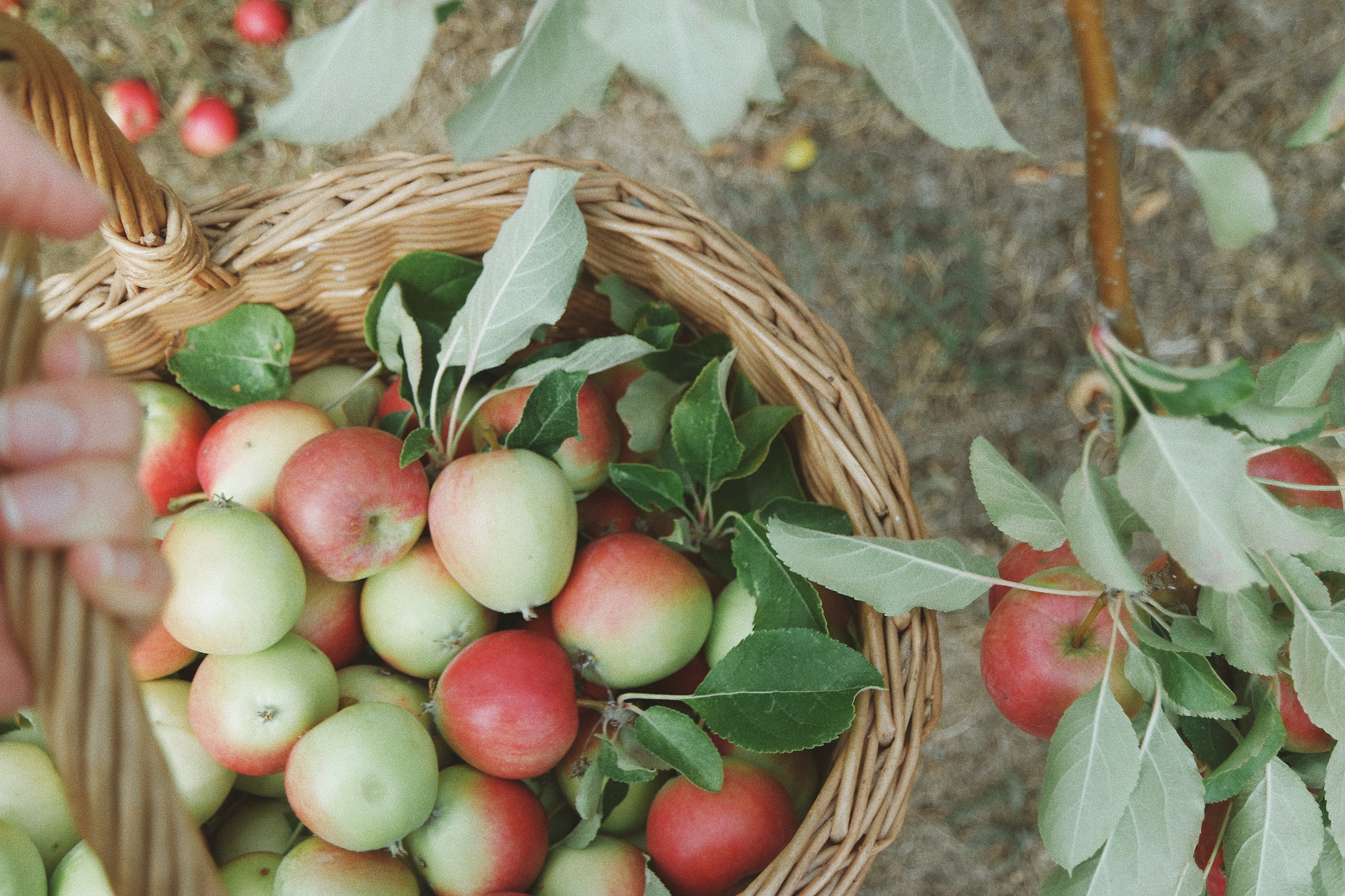 Processed with VSCO with a10 preset