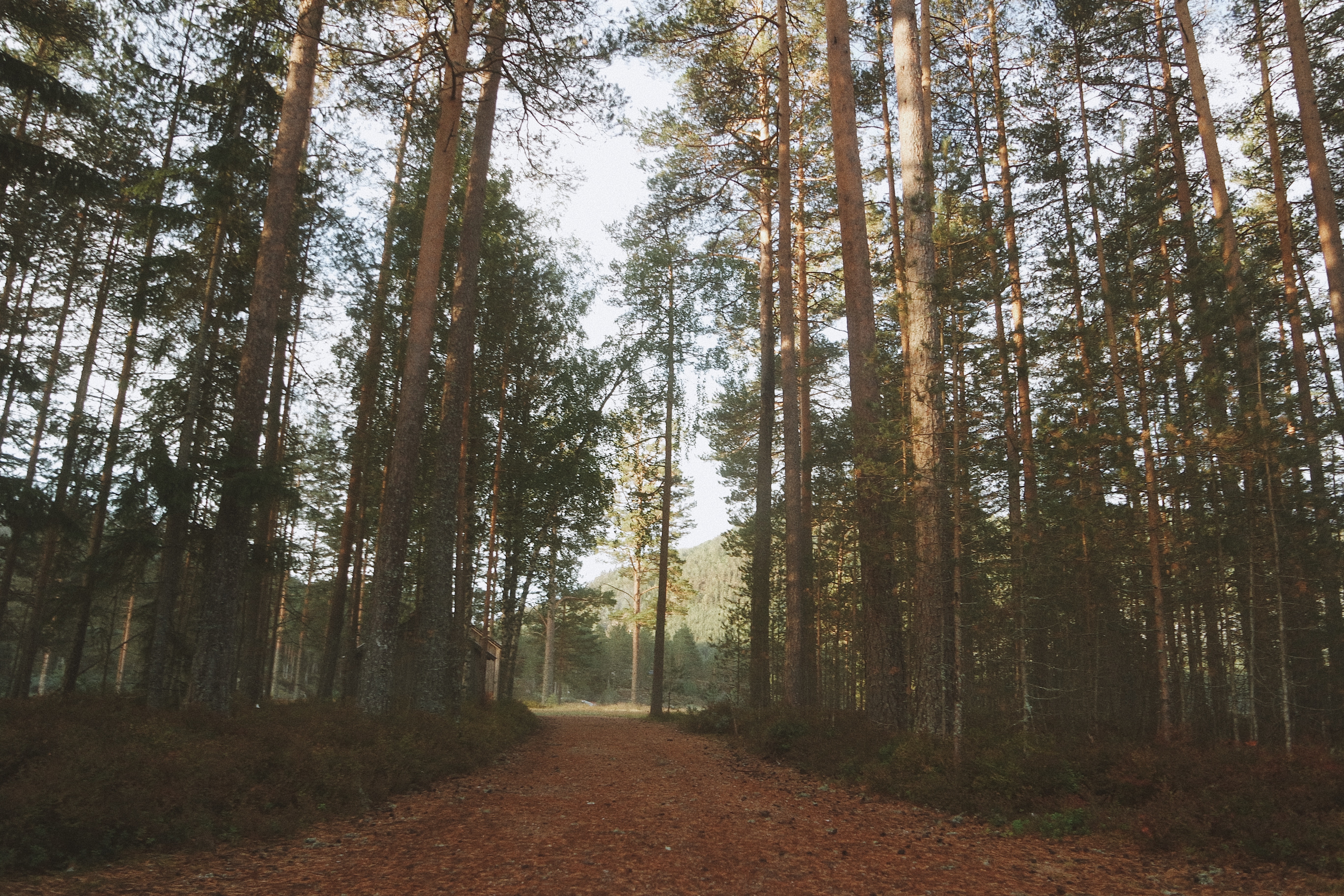 Processed with VSCO with a10 preset