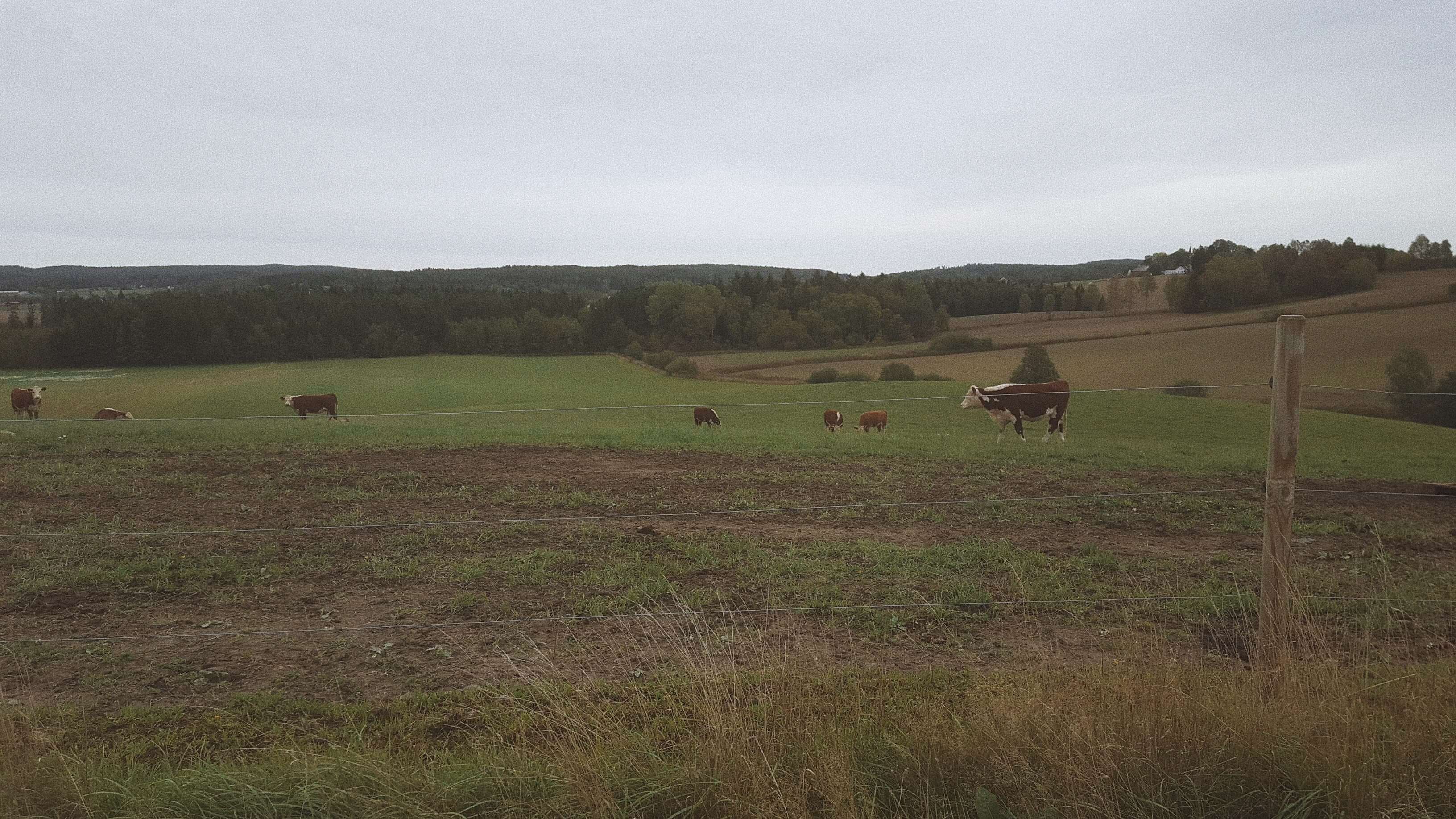 Processed with VSCO with a10 preset