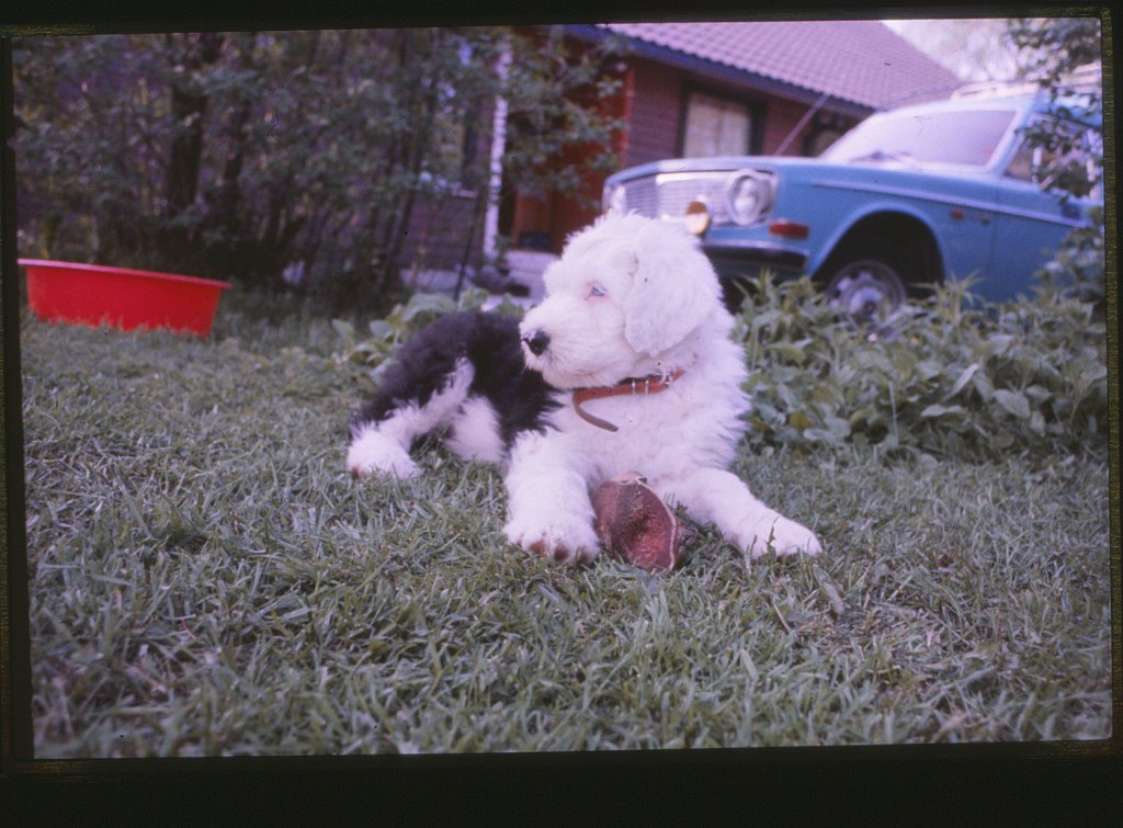 what this summer might&nbsp;bring